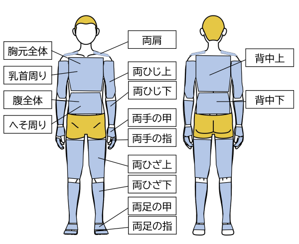 メンズクリア脱毛箇所全身